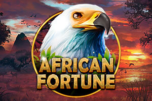 African Fortune