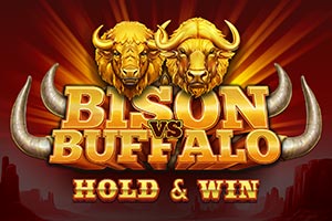 Bison VS Buffalo