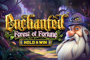 Enchanted: Forest of Fortune