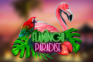 Flamingo Paradise