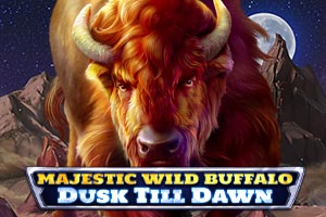 Majestic Wild Buffalo - Dusk Till Dawn