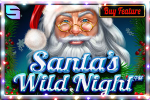 Santa's Wild Night