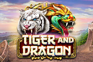 Tiger and Dragon