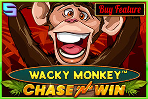 Wacky Monkey - Chase'N'Win