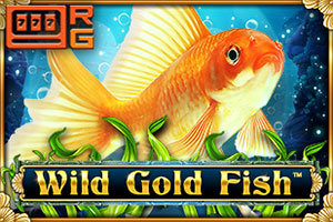 Wild Gold Fish