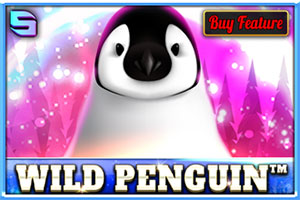 Wild Penguin